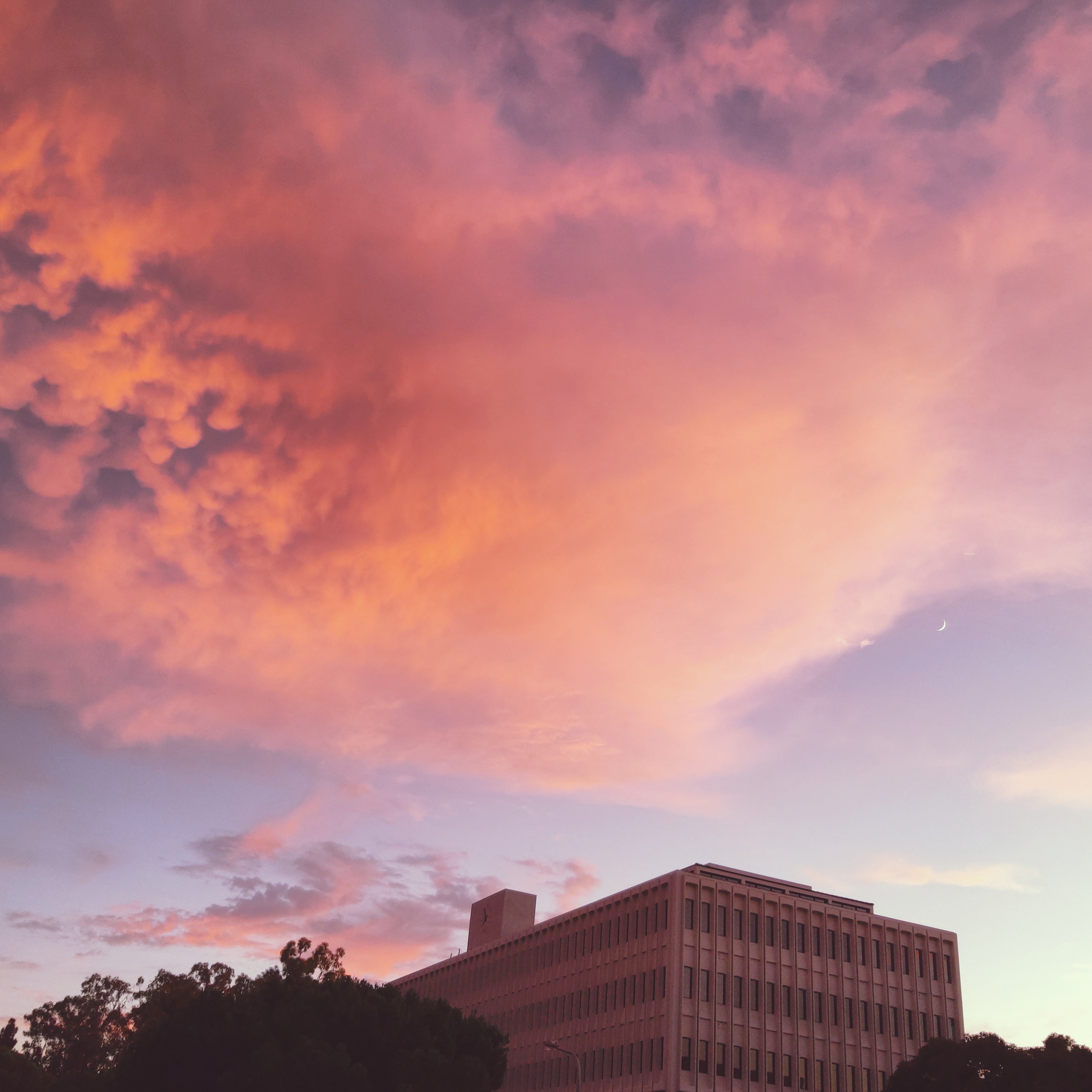 UCI的晚霞.jpg UCI的晚霞.jpg