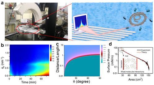 301653879541321410.jpg 301653879541321410.jpg