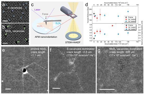 101654823949682750.jpg 101654823949682750.jpg