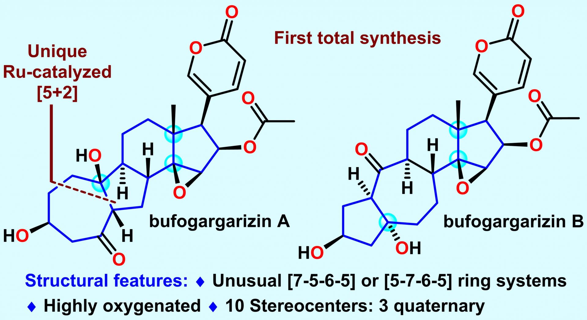 021685668460348384.jpg 021685668460348384.jpg