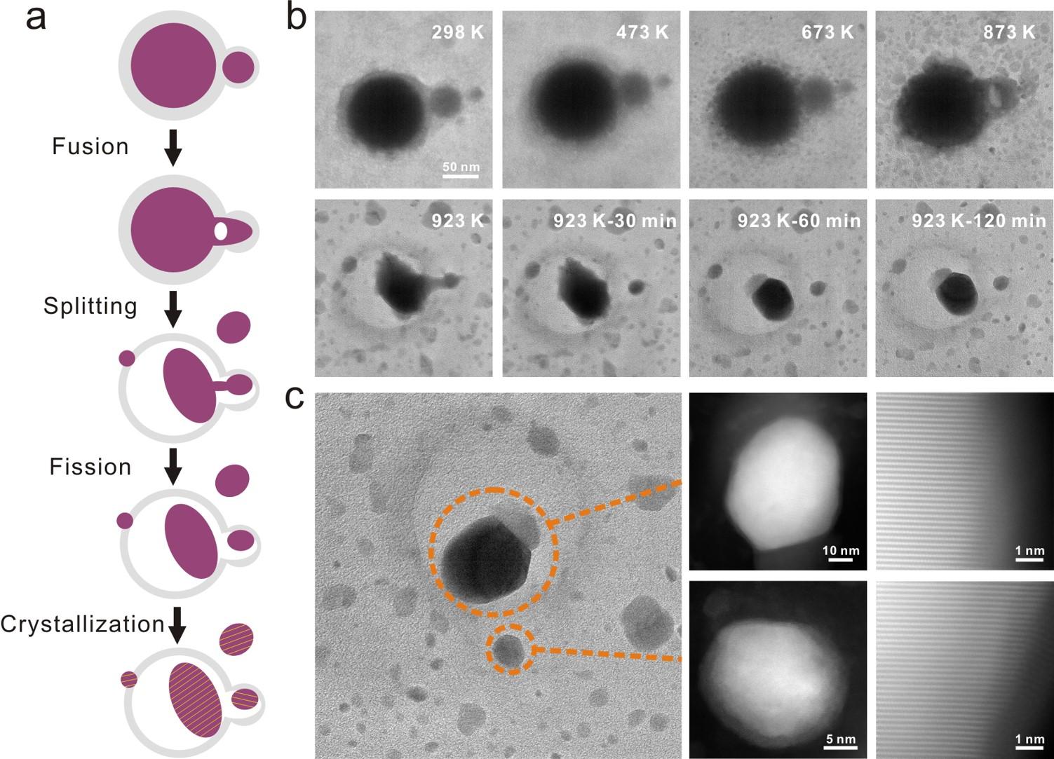 071686102485682139.jpg 071686102485682139.jpg