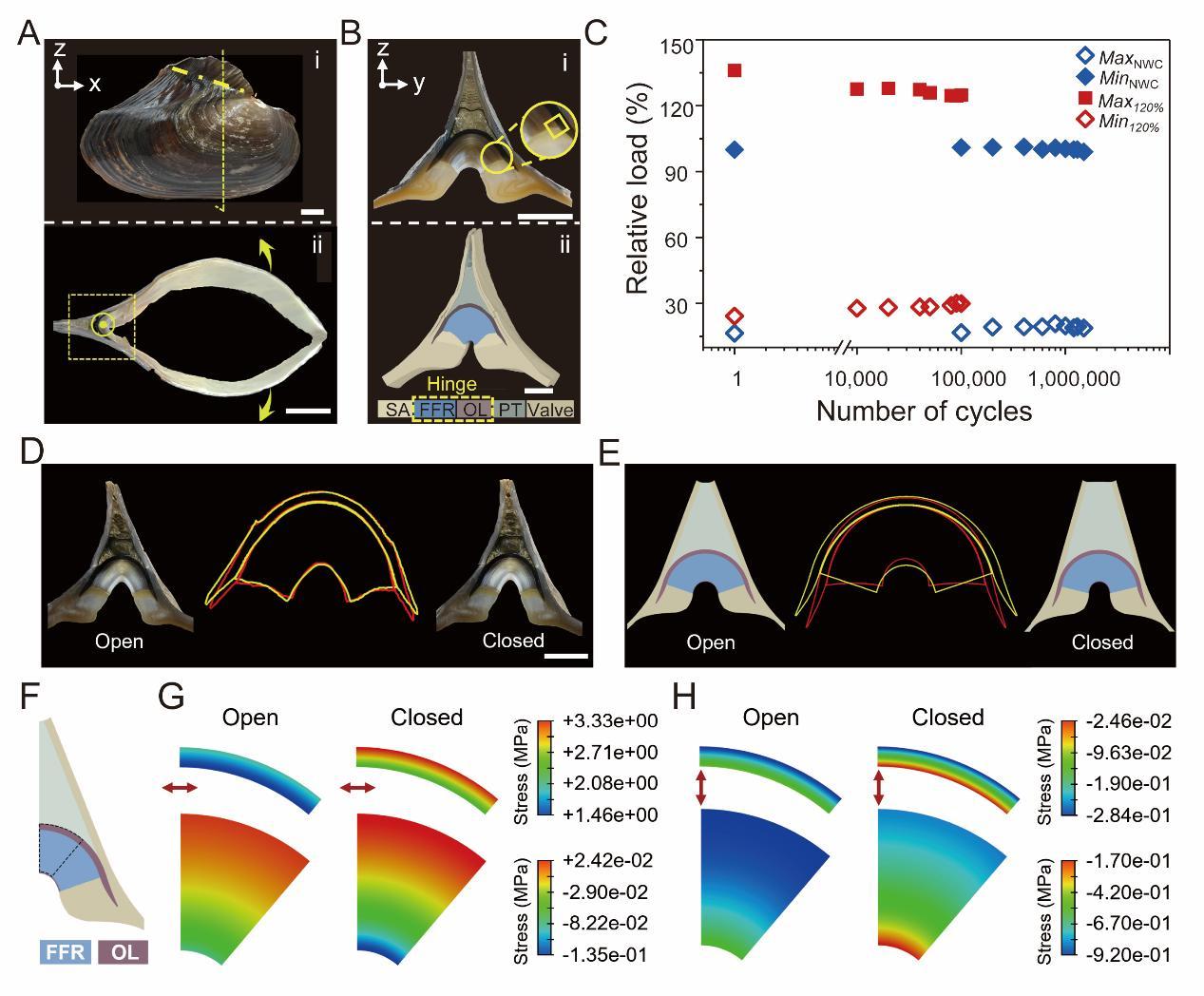 231687490106623981.jpg 231687490106623981.jpg