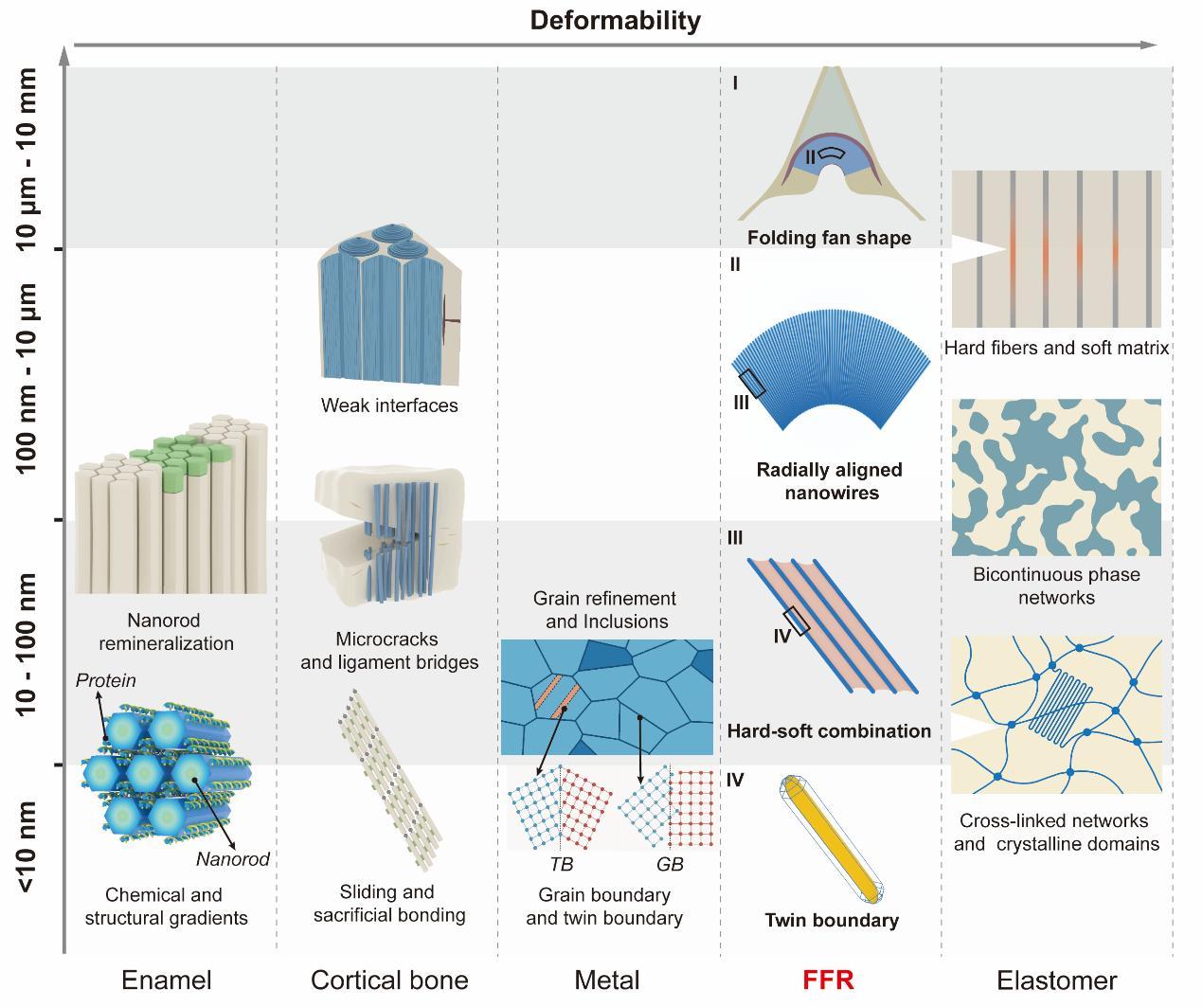 231687490387837732.jpg 231687490387837732.jpg