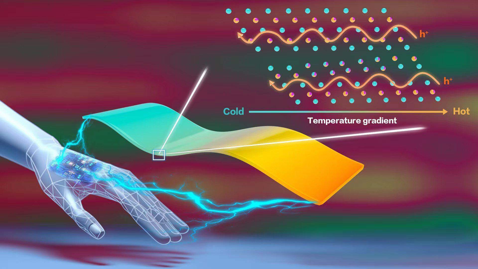 何佳清7.28.jpg 何佳清7.28.jpg