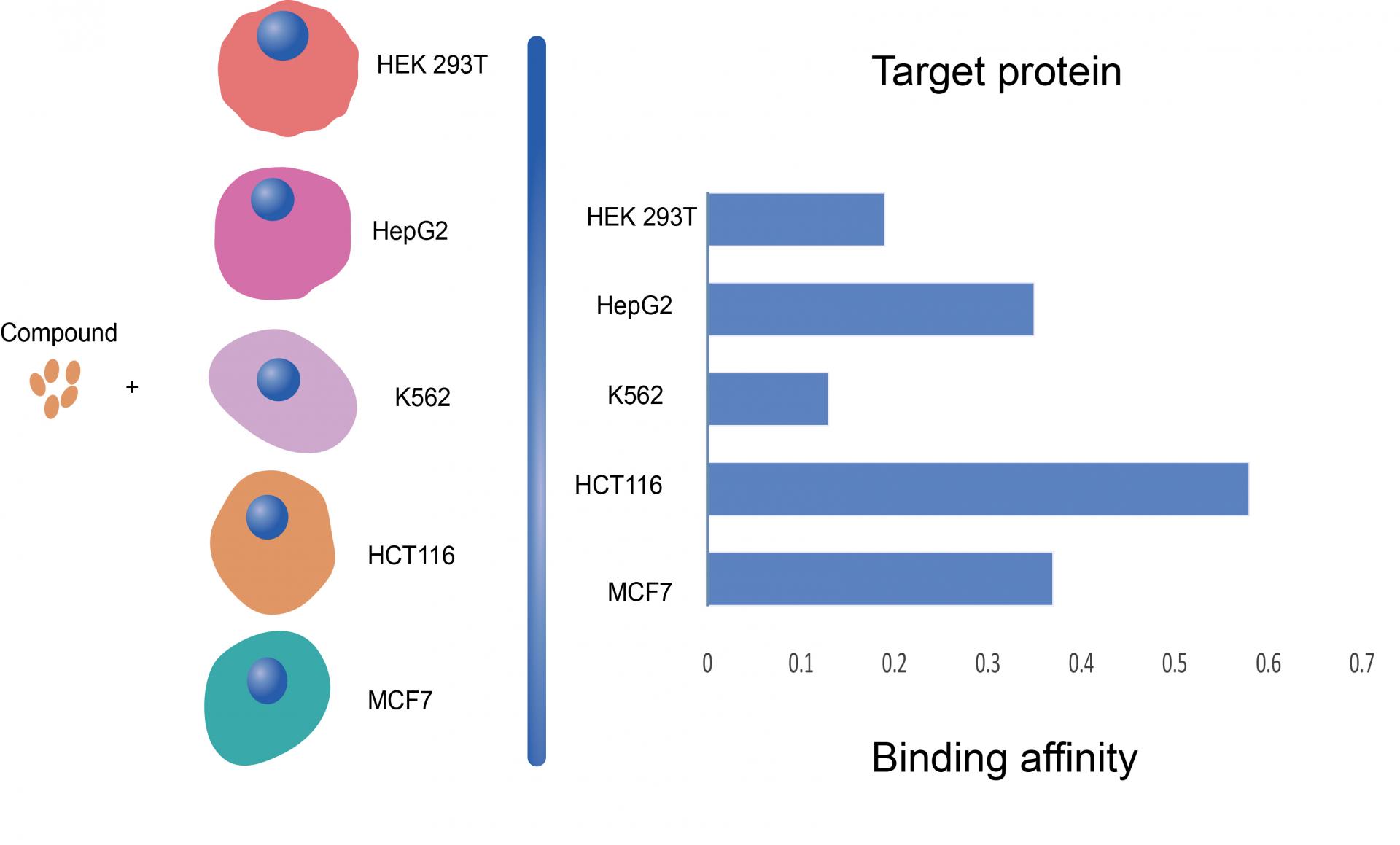 141694655944832163.jpg 141694655944832163.jpg